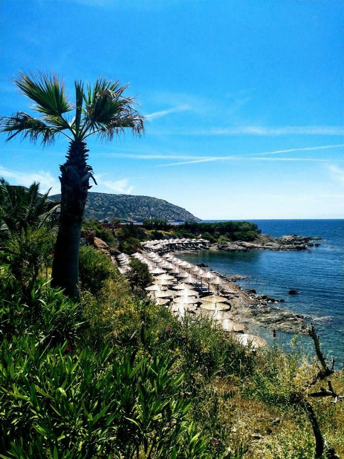 New Seafront Studio Pensionat Anavyssos Exteriör bild